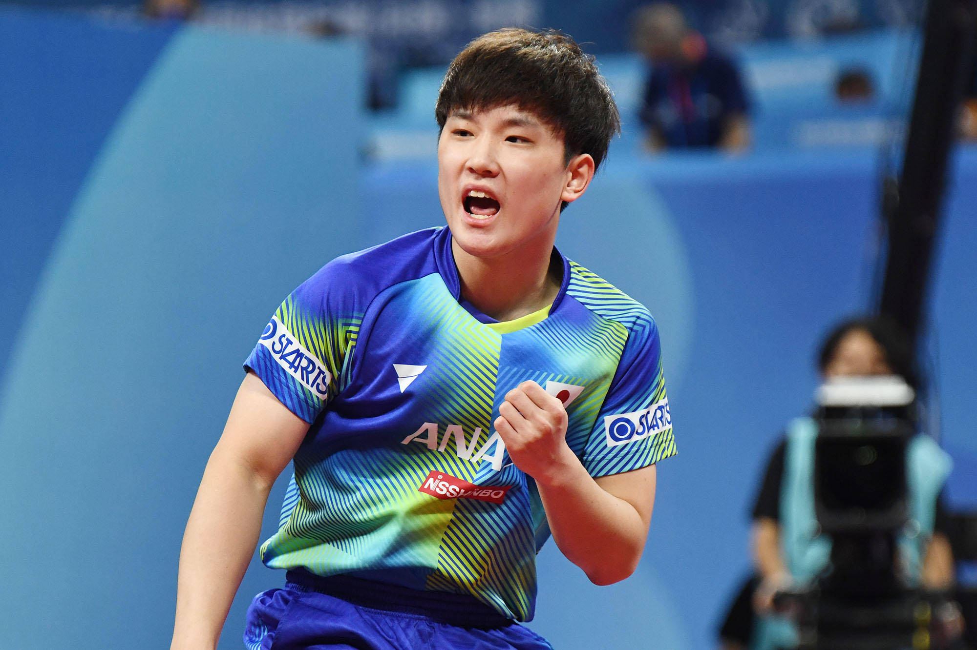 但在效率和 但在效率和