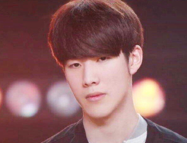 朱婷的职业 朱婷的职业