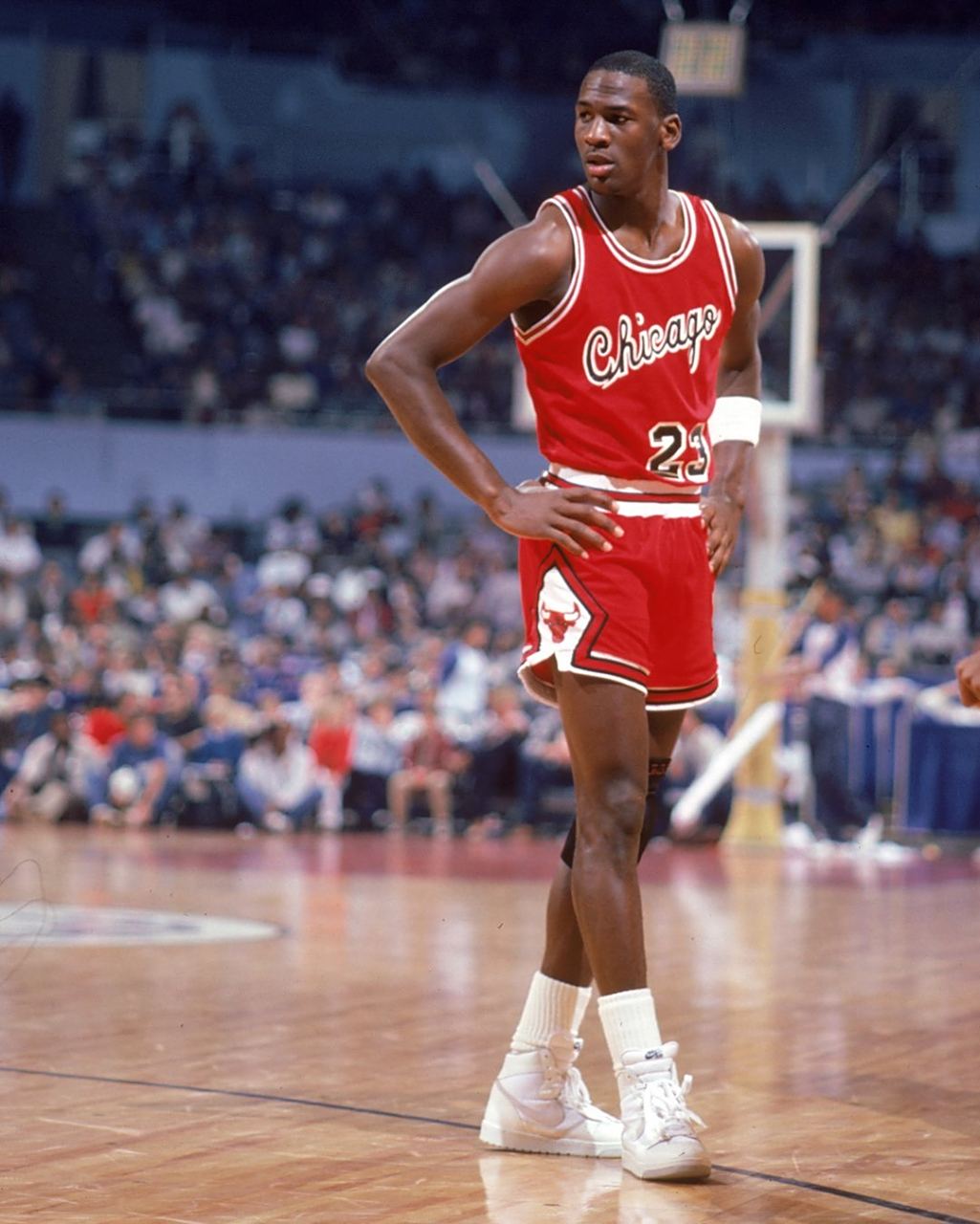 阵容提供了 阵容提供了