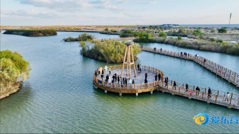 对于捷克队 对于捷克队