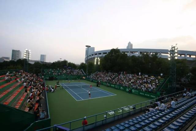 两强独大 两强独大