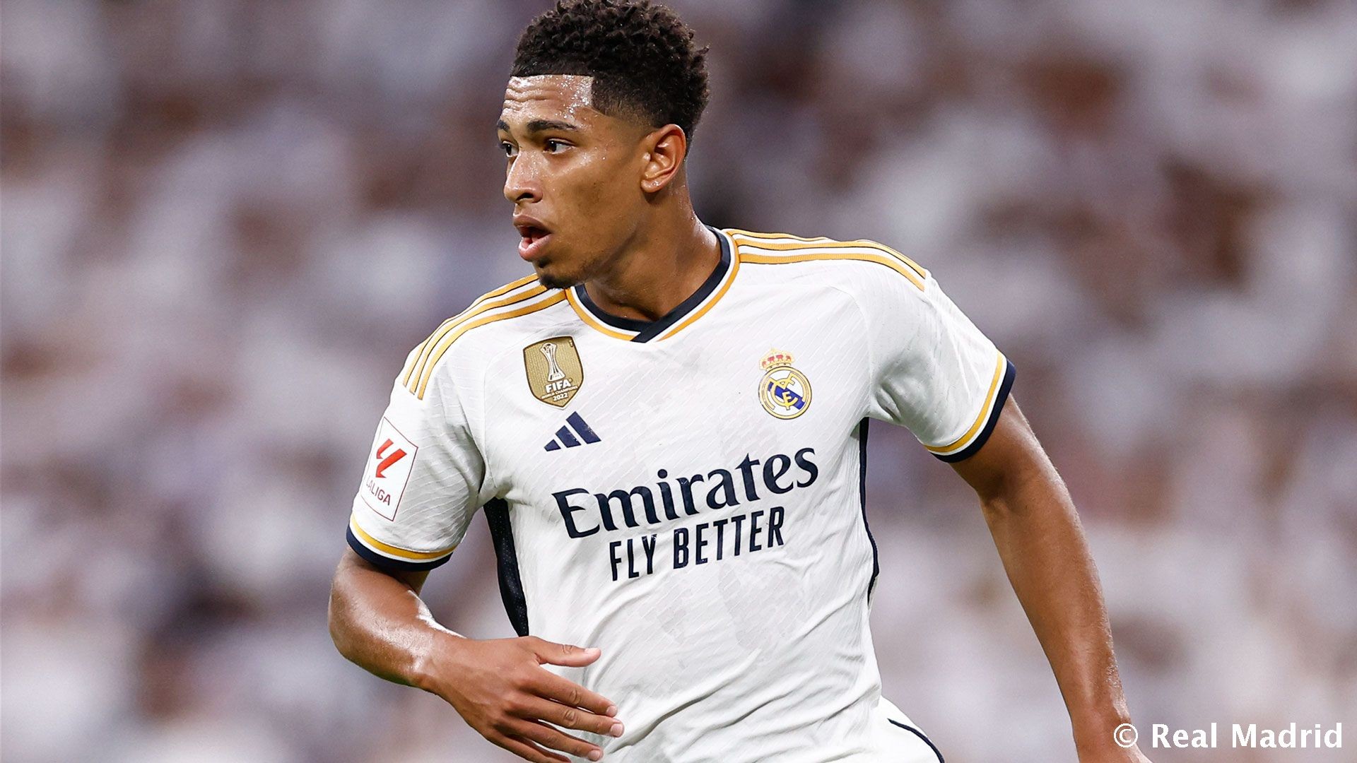 玩家B偏爱 玩家B偏爱